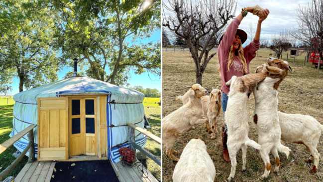 You Can Sleep In A Yurt & Feed Adorable Farm Animals At This Niagara Spot
