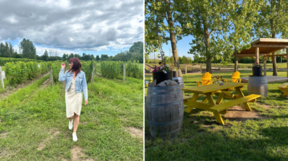 Best Wineries In Prince Edward County