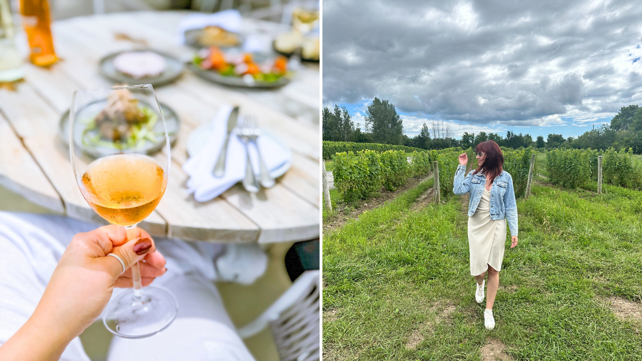 The Best Wineries In Prince Edward County To Visit In 2024