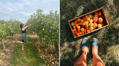 Pick-your-own fruit orchards in Niagara