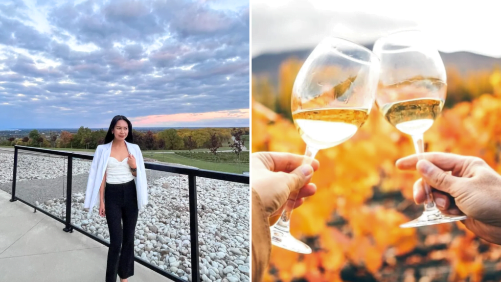 Top Niagara Wineries with Fall Views