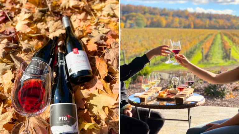 Top Niagara Wineries With The BEST Autumn Views